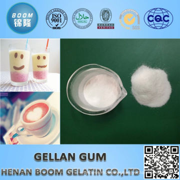 classical gellan gum for culture medium tissue